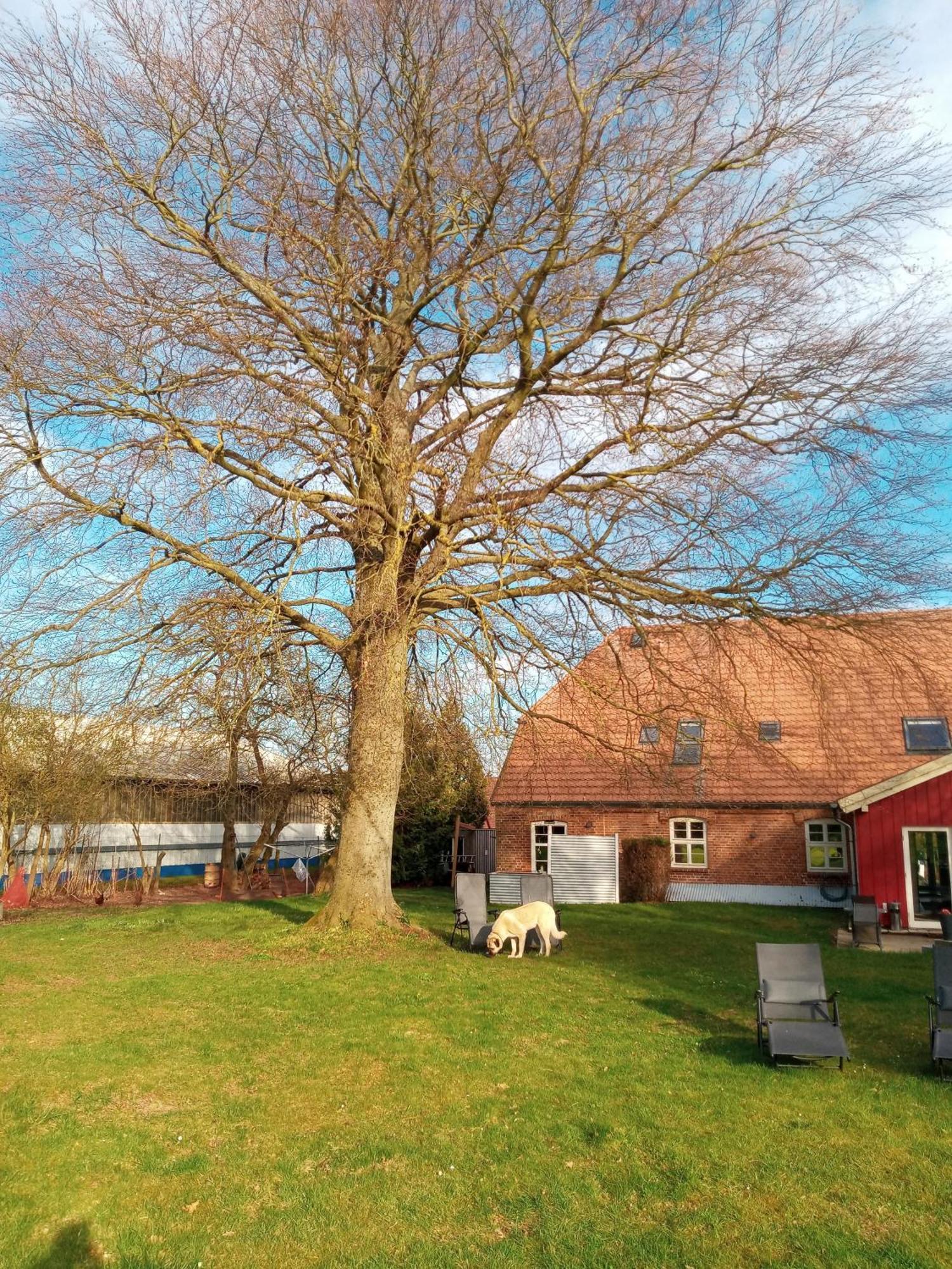 Hotelpension Pfarrhaus Alt Schwerin Kültér fotó